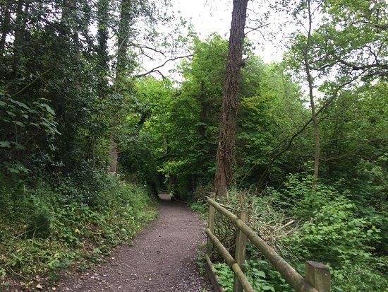 Drews Pond Nature Reserve